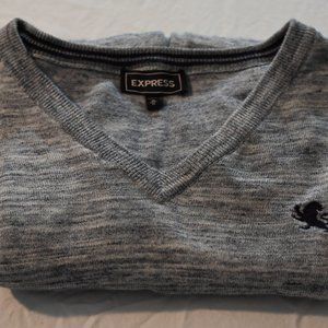 Medium Grey V-Neck Express Sweater